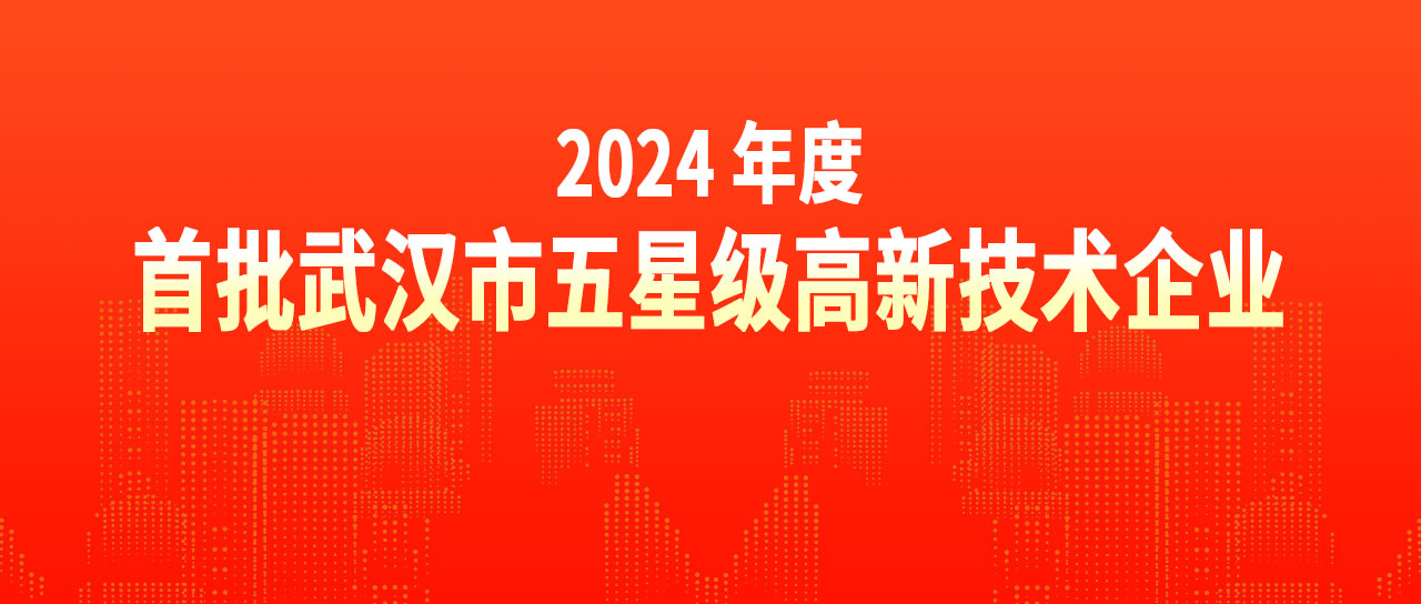 鑫英泰榮獲“2024年度首批武漢市五星級高新技術企業”榮譽稱號