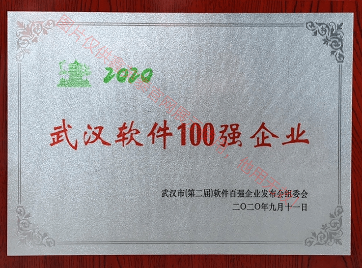 2020年武漢市軟件百強企業