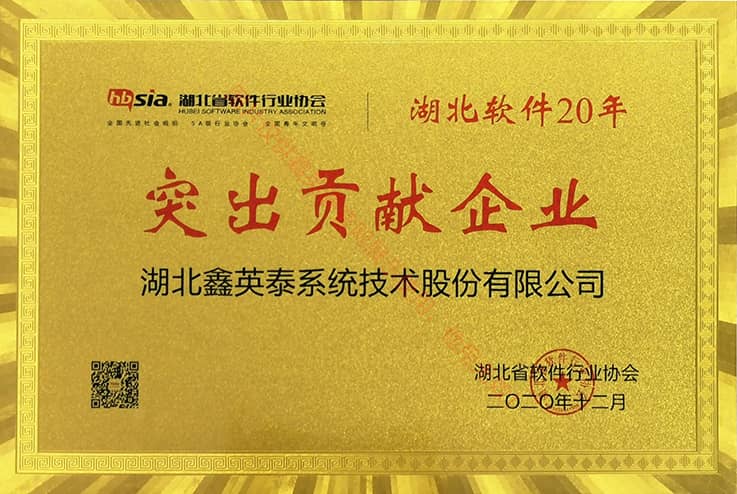 湖北軟件20年突出貢獻企業